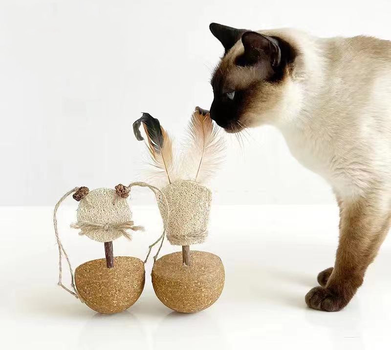 2023.11 New product-Pet toys