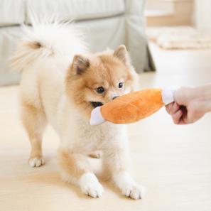 Sound Pet Dog Squeaky Chew Toys