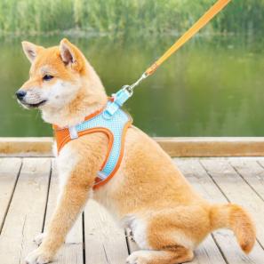 Pet Harnesses with Leash