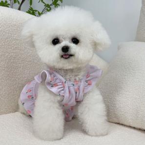 Pet Clothes Fly Sleeve Skirt